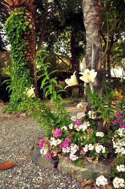 Le Mannare Vacanze Di Metopa Srl Holiday home Piano Conte